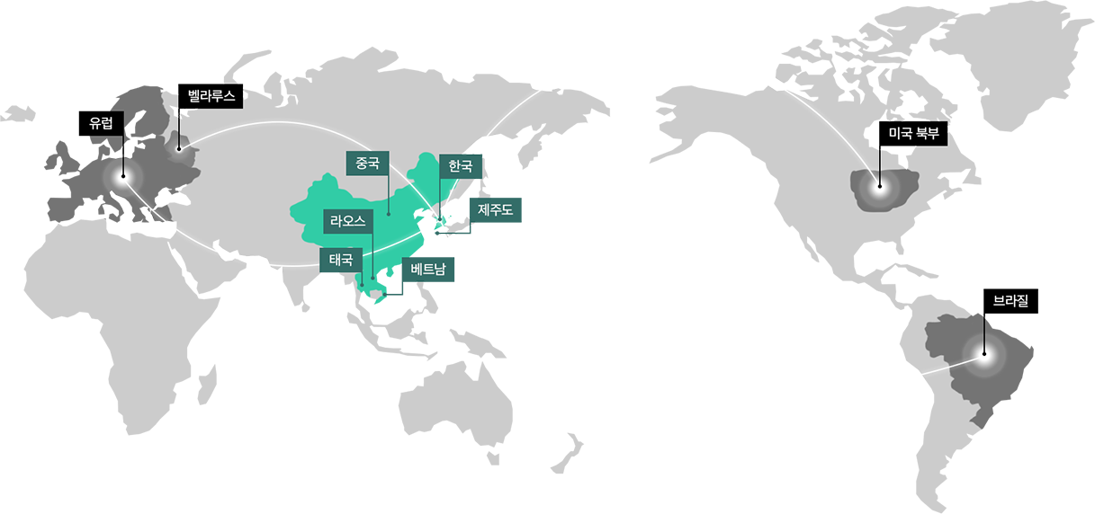 주요 진출 국가